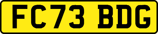 FC73BDG