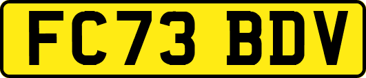 FC73BDV