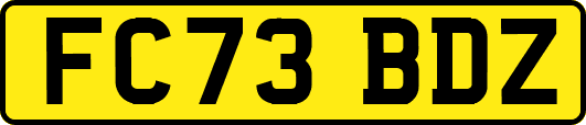 FC73BDZ