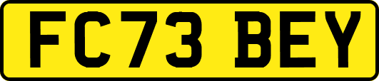 FC73BEY