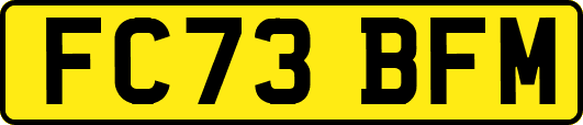 FC73BFM