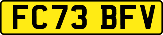 FC73BFV
