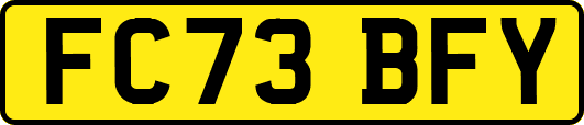 FC73BFY