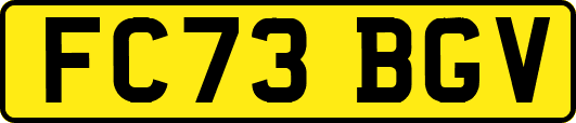 FC73BGV