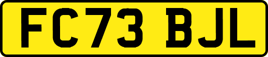 FC73BJL