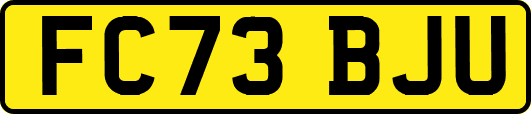 FC73BJU
