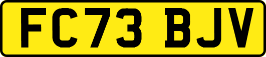 FC73BJV