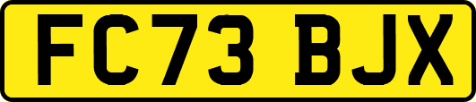 FC73BJX