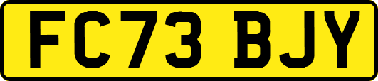 FC73BJY