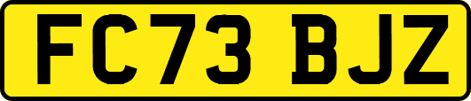 FC73BJZ