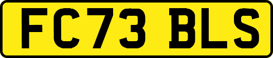 FC73BLS