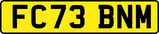 FC73BNM