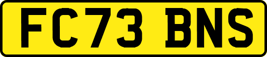 FC73BNS