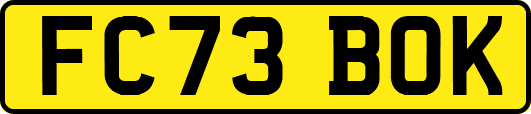 FC73BOK