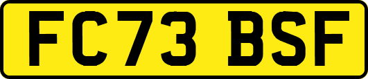 FC73BSF