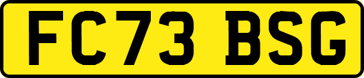 FC73BSG