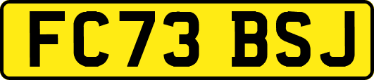 FC73BSJ