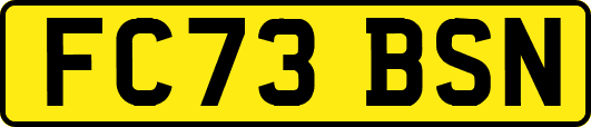 FC73BSN
