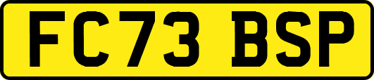 FC73BSP