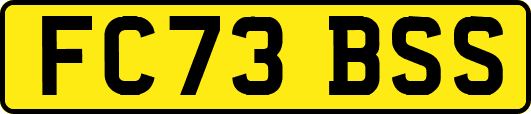 FC73BSS