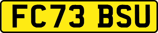 FC73BSU