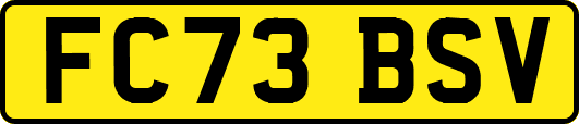 FC73BSV