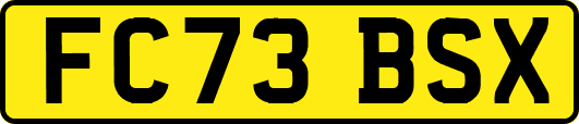 FC73BSX