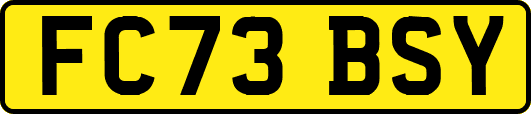 FC73BSY