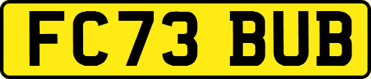 FC73BUB