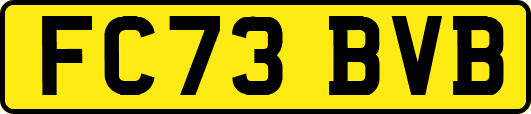 FC73BVB