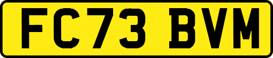 FC73BVM