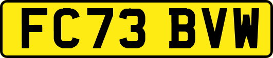 FC73BVW