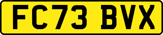 FC73BVX