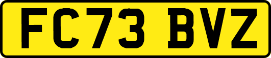 FC73BVZ