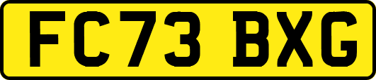 FC73BXG