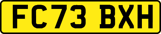 FC73BXH