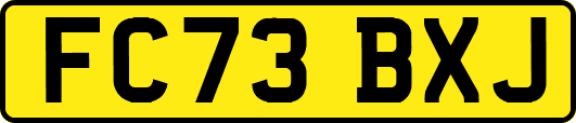 FC73BXJ