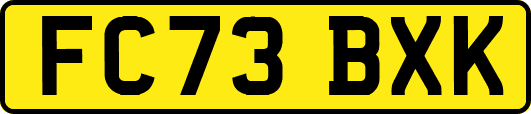 FC73BXK