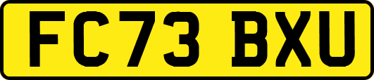 FC73BXU