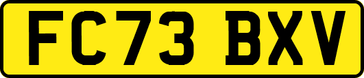 FC73BXV