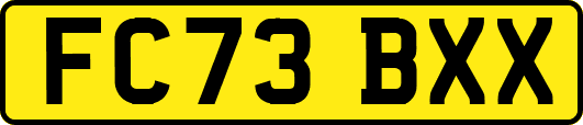 FC73BXX