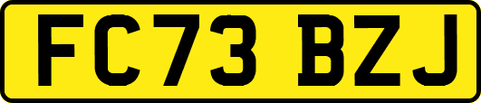 FC73BZJ