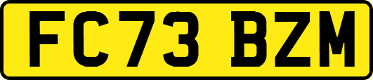FC73BZM