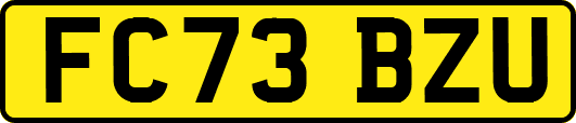 FC73BZU
