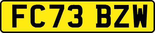 FC73BZW