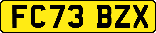 FC73BZX