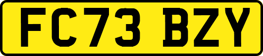 FC73BZY
