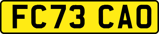 FC73CAO