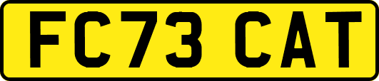 FC73CAT