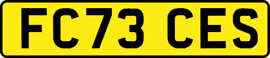 FC73CES